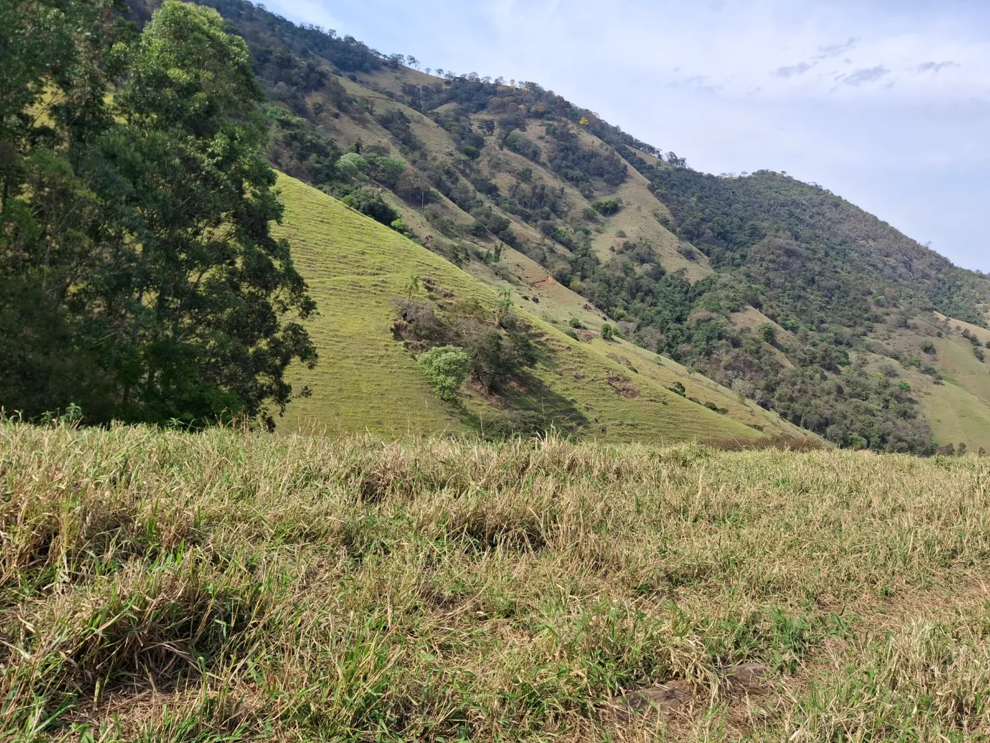 TERRENO Á VENDA NO CÓRREGO DO BOM JESUS, MG